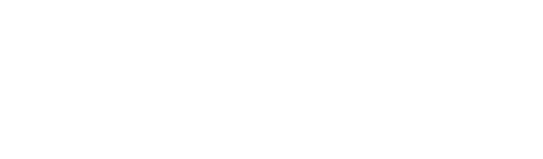 Dynamo Hub